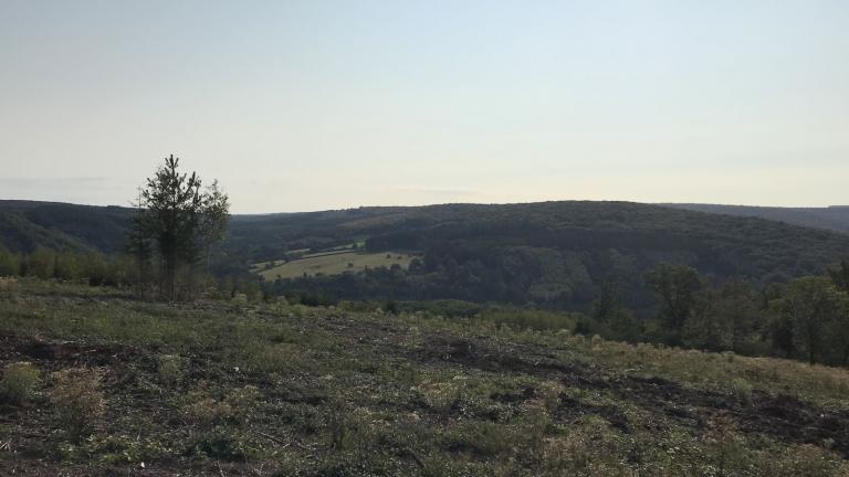  - Parc naturel de l'Ardenne Méridionale