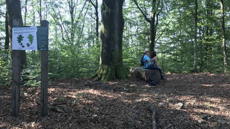  - Parc naturel de l'Ardenne Méridionale