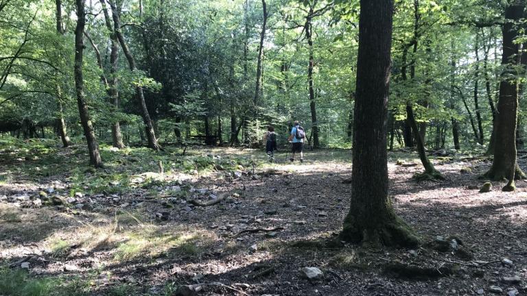  - Parc naturel de l'Ardenne Méridionale