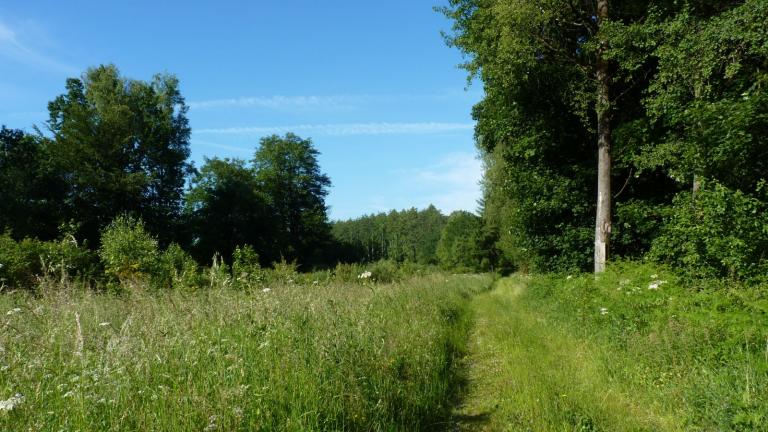  - Parc naturel de l'Ardenne Méridionale