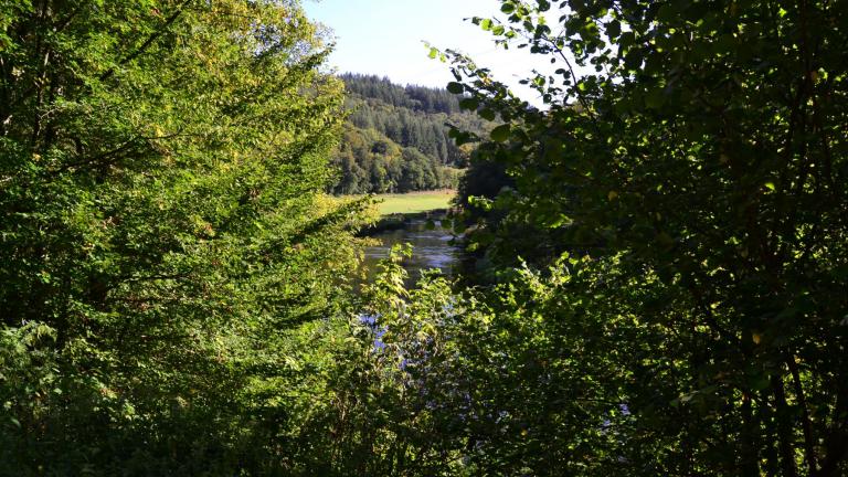  - Parc naturel de l'Ardenne Méridionale