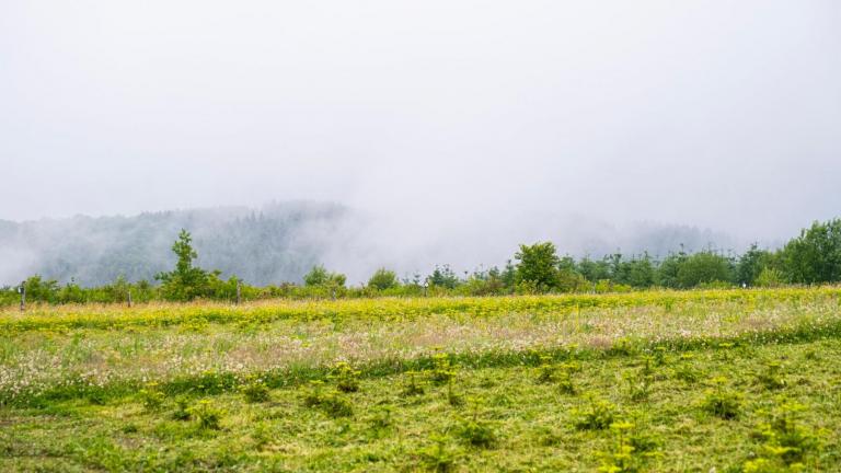  - Parc naturel de l'Ardenne Méridionale