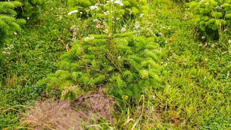  - Parc naturel de l'Ardenne Méridionale