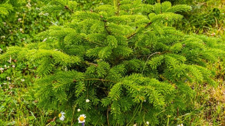  - Parc naturel de l'Ardenne Méridionale