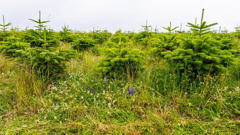  - Parc naturel de l'Ardenne Méridionale