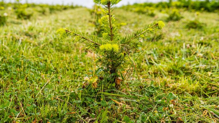  - Parc naturel de l'Ardenne Méridionale