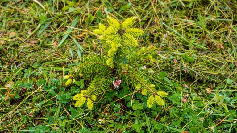  - Parc naturel de l'Ardenne Méridionale