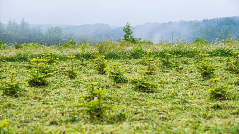  - Parc naturel de l'Ardenne Méridionale