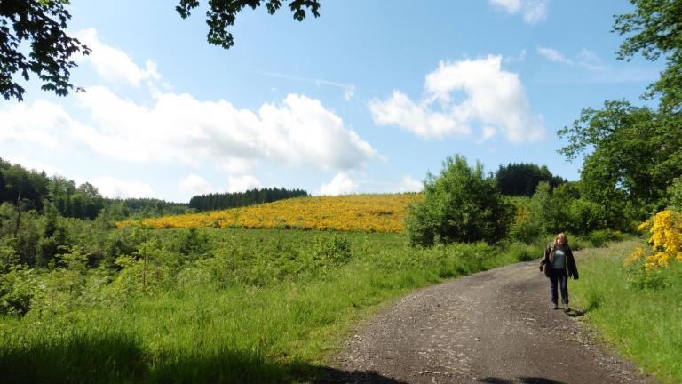 Maison des guides de l'Ardenne Méridionale S'prit rando