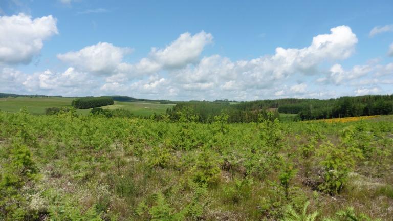 Maison des guides de l'Ardenne Méridionale S'prit rando