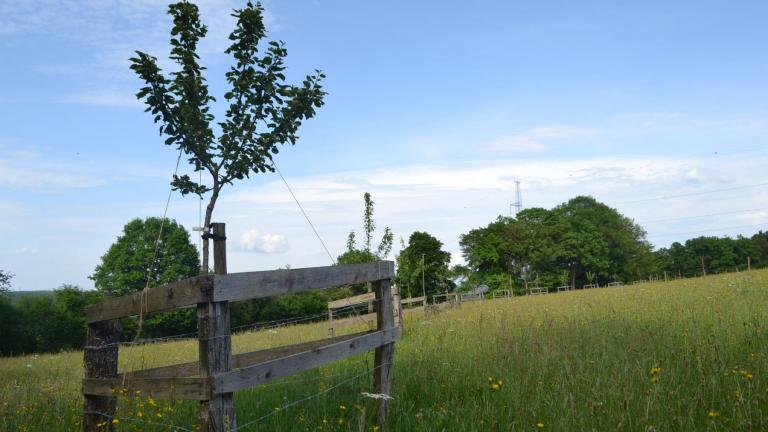  - Parc naturel de l'Ardenne Méridionale