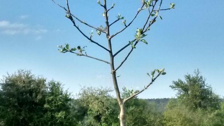  - Parc naturel de l'Ardenne Méridionale