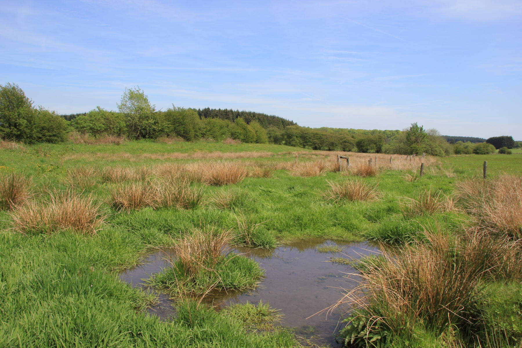 Les zones humides Territoire Parc naturel de l'Ardenne Méridionale