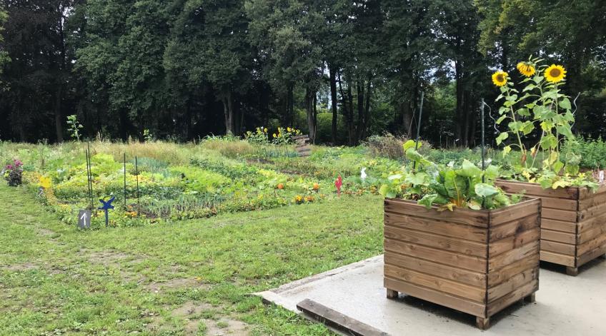 Jardins collectifs - (Re)dÃ©couvrez la pratique du jardinage en la partageant avec d'autres personnes - Publications Parc Naturel Ardenne Meridionale