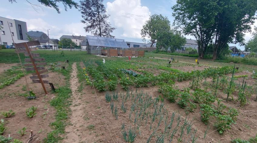 Fête au jardin solidaire de Bertrix