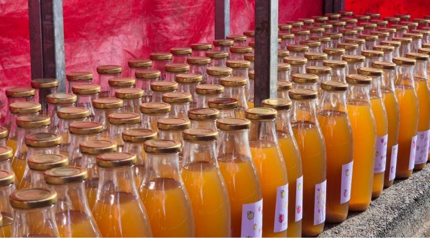 Un automne riche en fruits à l’école de Noirefontaine