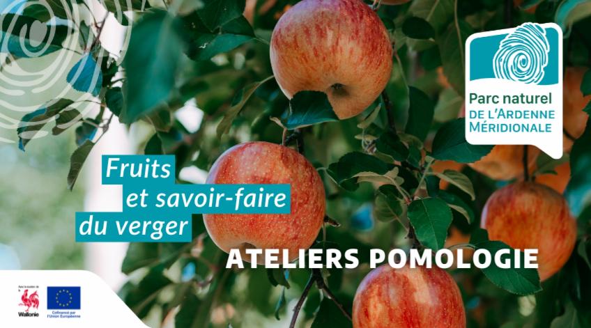 Fruits & Savoir-faire du verger