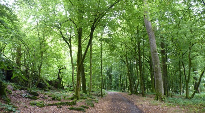 Paliseul - DÃ©couvertes culturelle, patrimoniale et gastronomique - Publications Parc Naturel Ardenne Meridionale