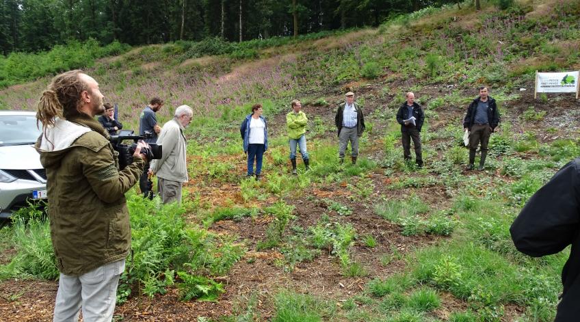 Fays-les-Veneurs : Visite de plantation et information sur le reboisement