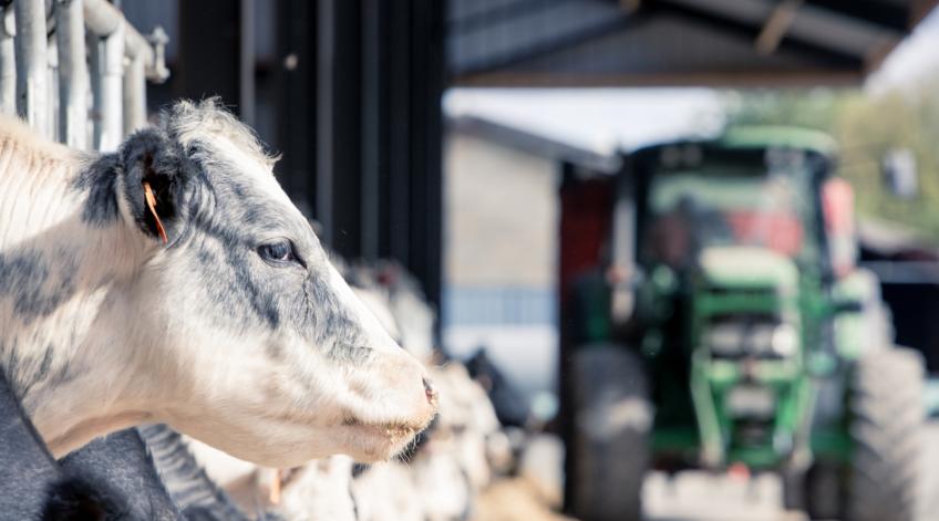 Appui aux porteurs de projets agricoles privés - Une offre de consultance - Publications Parc Naturel Ardenne Meridionale