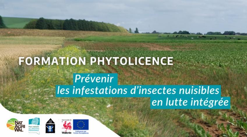Formation phytolicence