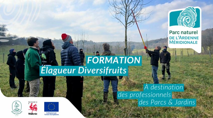 Cycle de formations