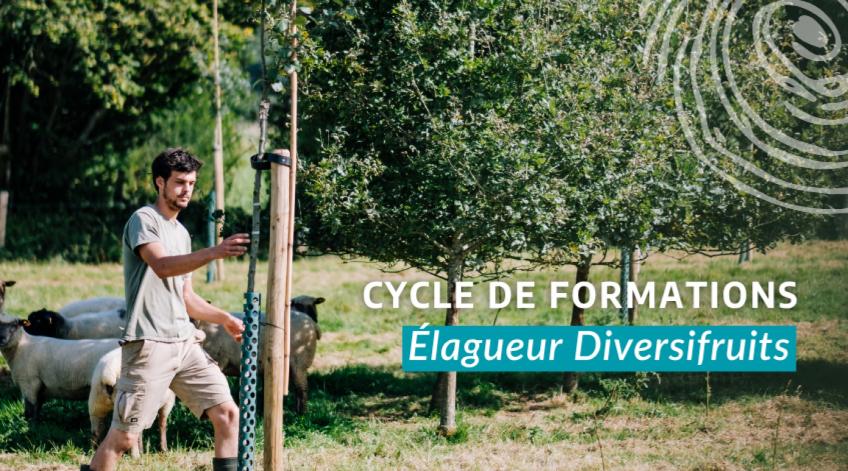Cycle de formations Élagueur Diversifruits