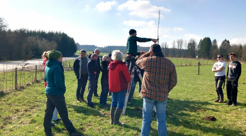 Des formations à la taille des arbres fruitiers