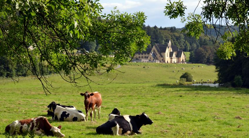 Bouillon : Formation DiversiFerm