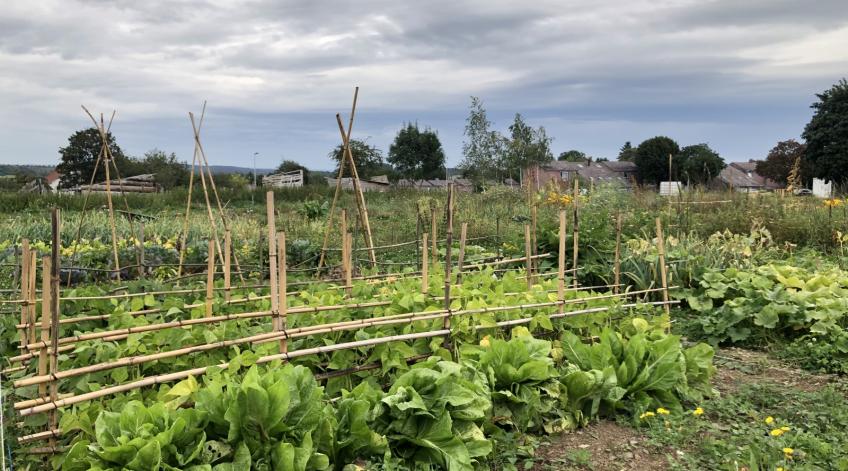 Jardins collectifs - DÃ©couvrir ou re-dÃ©couvrir la pratique du jardinage en la partageant avec d'autres personnes - Publications Parc Naturel Ardenne Meridionale