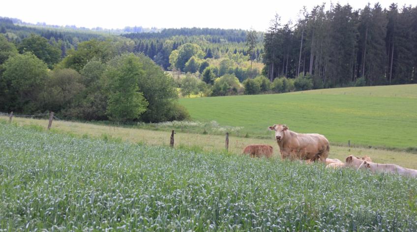 Promotion des services écosystémiques agricoles - Faire connaÃ®tre et reconnaÃ®tre le rÃle multifonctionnel de lâagriculture - Publications Parc Naturel Ardenne Meridionale