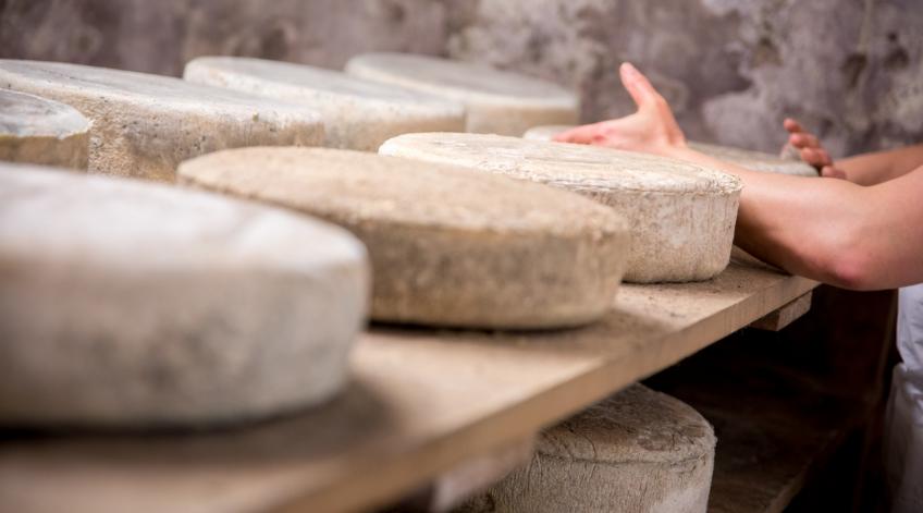 Les fromageries du territoire - Partez à la découverte de leurs élevages et de leurs produits ! - Publications Parc Naturel Ardenne Meridionale