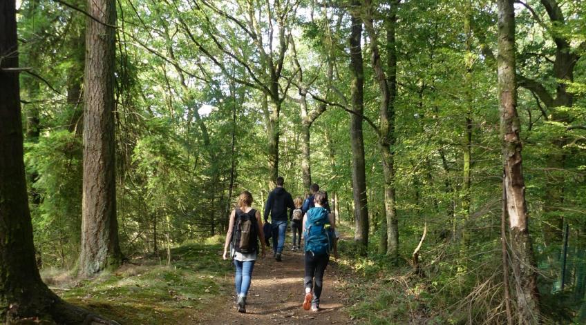 Journée Internationale des Forêts