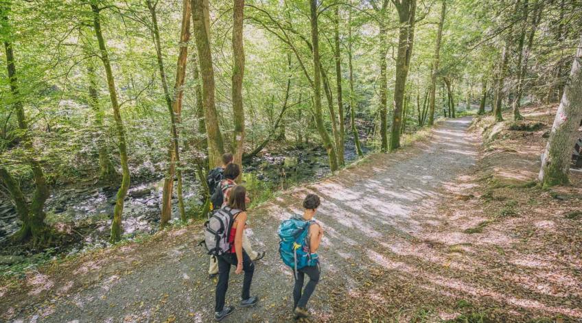 Tourisme : accueil et renseignements - Les points d'information touristique du territoire - Publications Parc Naturel Ardenne Meridionale