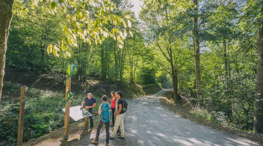 Création d'une Maison des guides de l'Ardenne méridionale - Accompagner, former et mettre en valeur les guides du territoire - Publications Parc Naturel Ardenne Meridionale