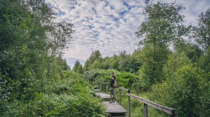 La réserve naturelle domaniale de la Fange de l'Abîme - Au coeur du massif de la Croix-Scaille Ã  Gedinne - Publications Parc Naturel Ardenne Meridionale