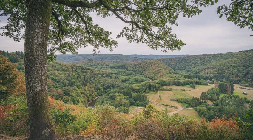 Charte paysagère - ProtÃ©ger et valoriser notre territoire au travers dâune Charte paysagÃšre - Publications Parc Naturel Ardenne Meridionale