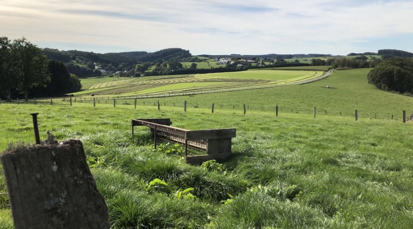 Un lieu de quiétude, d’apprentissages et de refuge pour la biodiversité - Entre Straimont et Martilly (Herbeumont) - Publications Parc Naturel Ardenne Meridionale