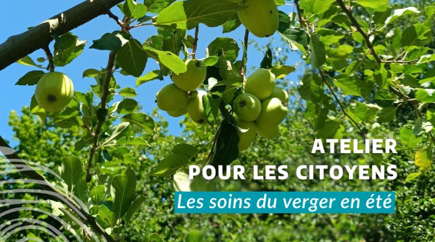 Verger : atelier pour les citoyens