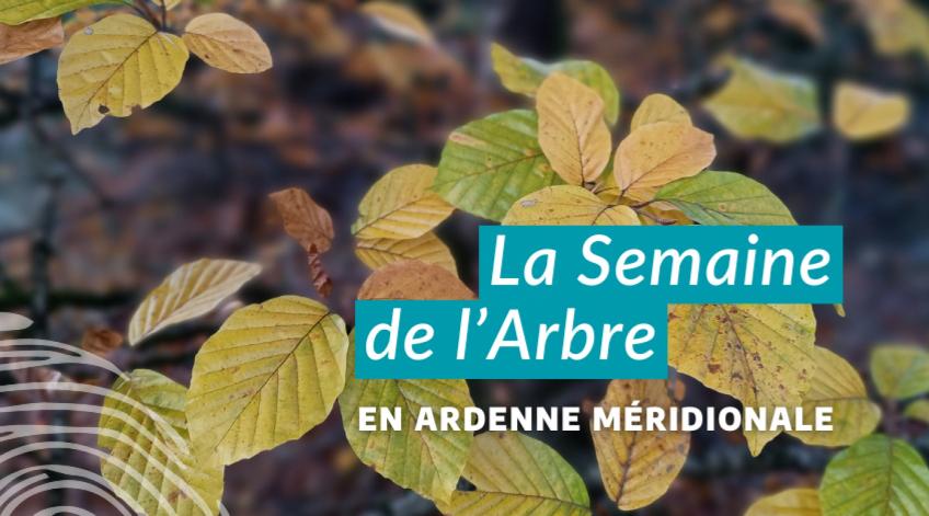 La semaine de l'Arbre