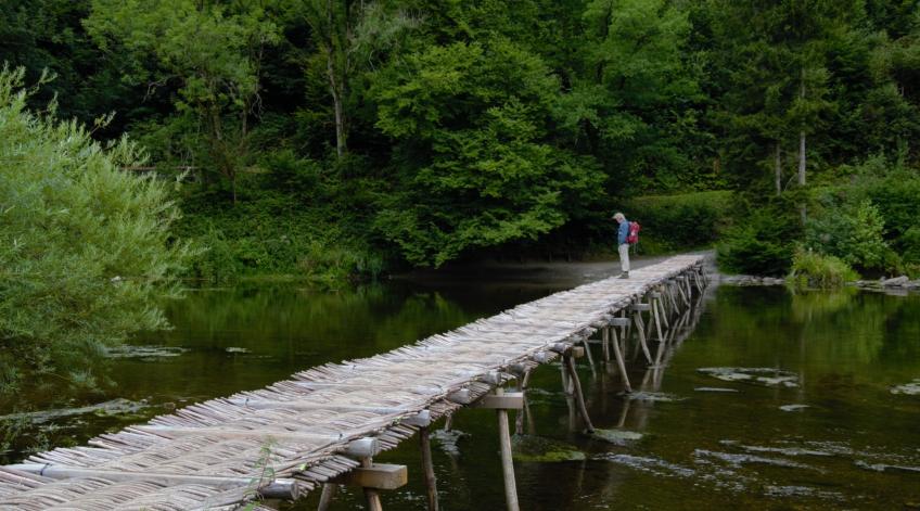 Balades Guidées début juillet