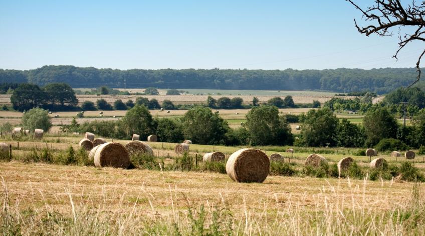 Un service de consultance pour les pouvoirs publics - Apporter une expertise et des conseils Ã  nos communes - Publications Parc Naturel Ardenne Meridionale