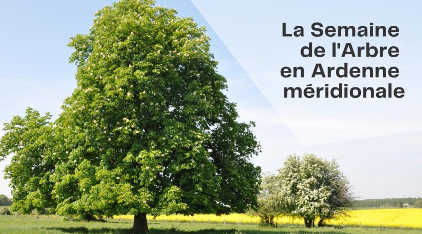 La semaine de l'Arbre en Ardenne méridionale