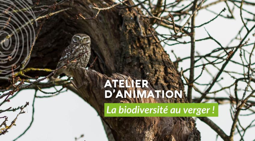 Atelier d'animation pour les citoyens
