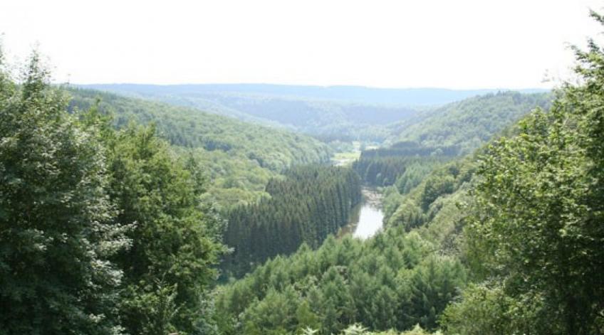 Les Hayons : Balade guidée