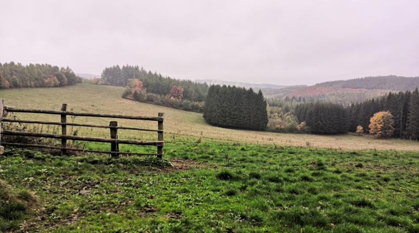 Les différents milieux de vie du territoire - ForÃªt, zone humide, riviÃšre, village, bocage, carriÃšre et espace potager - Publications Parc Naturel Ardenne Meridionale