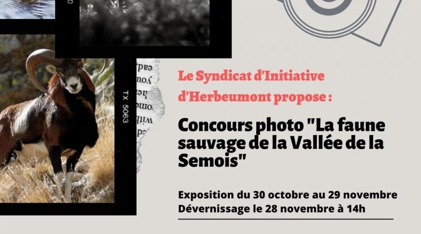 CONCOURS PHOTO