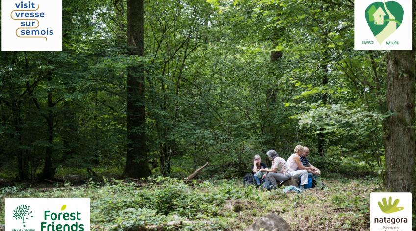 Au coeur de la forêt ardennaise et de ses bienfaits