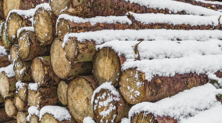 Améliorer la gestion de la forêt privée - Accompagner le travail des propriÃ©taires privÃ©s - Publications Parc Naturel Ardenne Meridionale