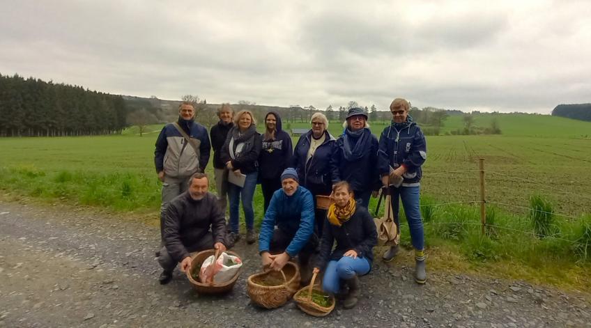 Découverte des plantes sauvages comestibles